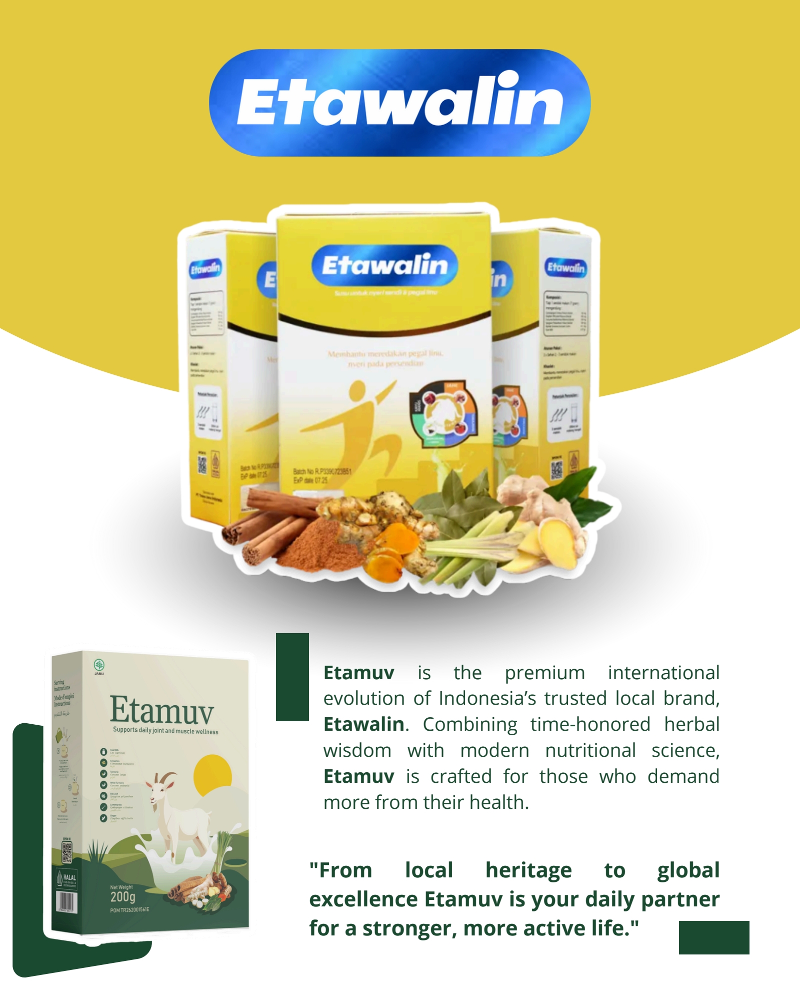 Etamuv Global Evolution